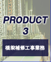 ������C�H���Ɩ�