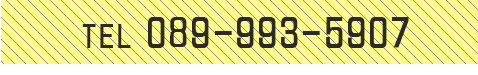 TEL089-993-5907
